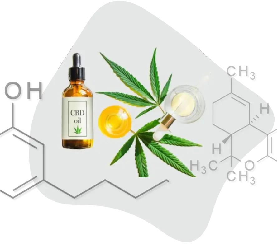 cannabis-backlinks-services